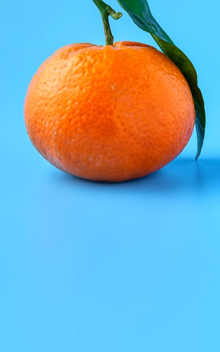 photo of an orange